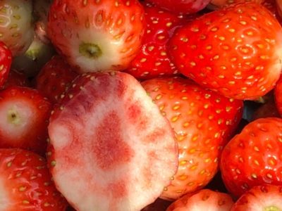 2021.5.23 カブパテシエ